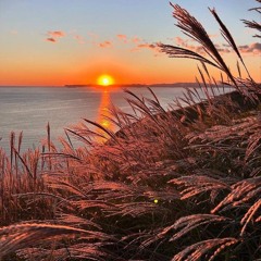 Yet No Evening (Electronic Folk Rework)