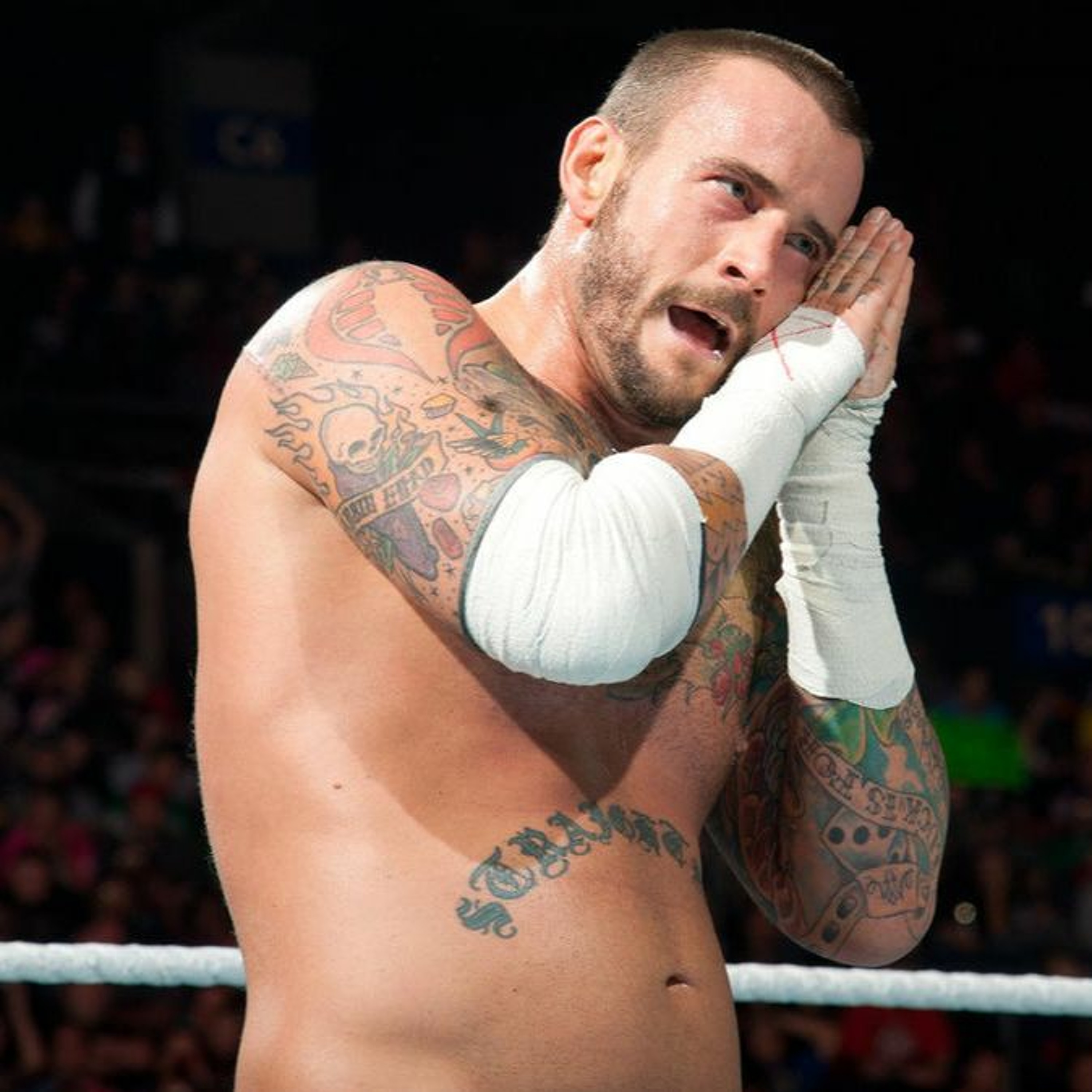 The Wrestlecube