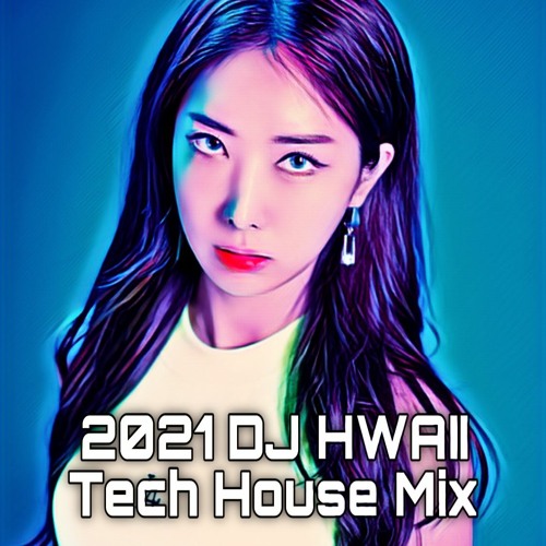 2021 DJ HWAII Tech House Mix