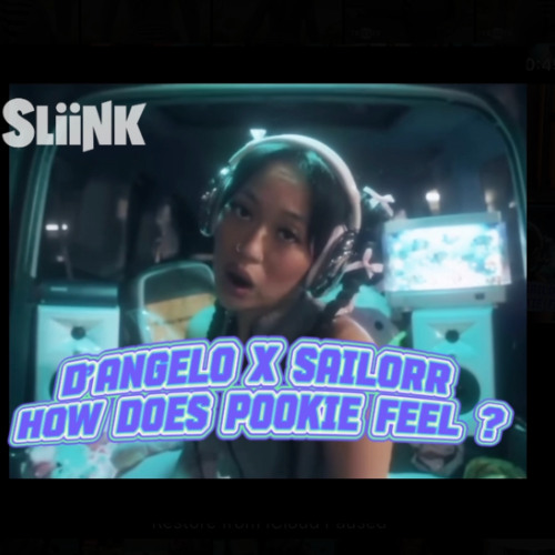 Sailorr x D'Angelo - How Does Pookie Feel ? (DJ Sliink Mix)