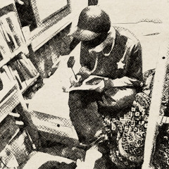 Novel