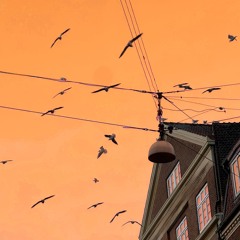 Absence (feat. Who Killed Bambi)