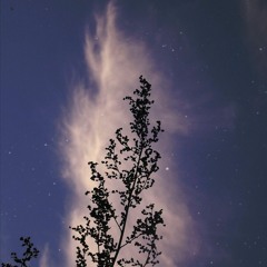 From Here (Ft. Coldroses)