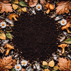 ВЗРОСЛЯЧИЙ САДОЧОК