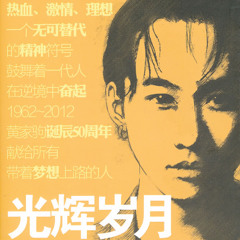 Beyond - Guang Hui Sui Yue 光輝歲月 - Lsputon Vip Remix