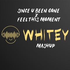 Since You Been Gone x Feel This Moment (Whitey Mashup)
