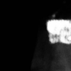 ㅤ                      / The Cries Of The Neglected Animals