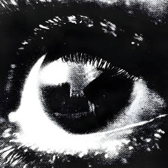 Crystal Castles - Trash the Rental (Slowed + Reverb)