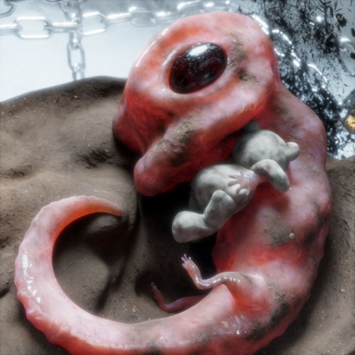 [Swine Premiere] Olor Acre - A Hectic Fever (WARE)