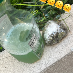 NO FEAR - COLDA$$j X OTB momo X jaytoockold