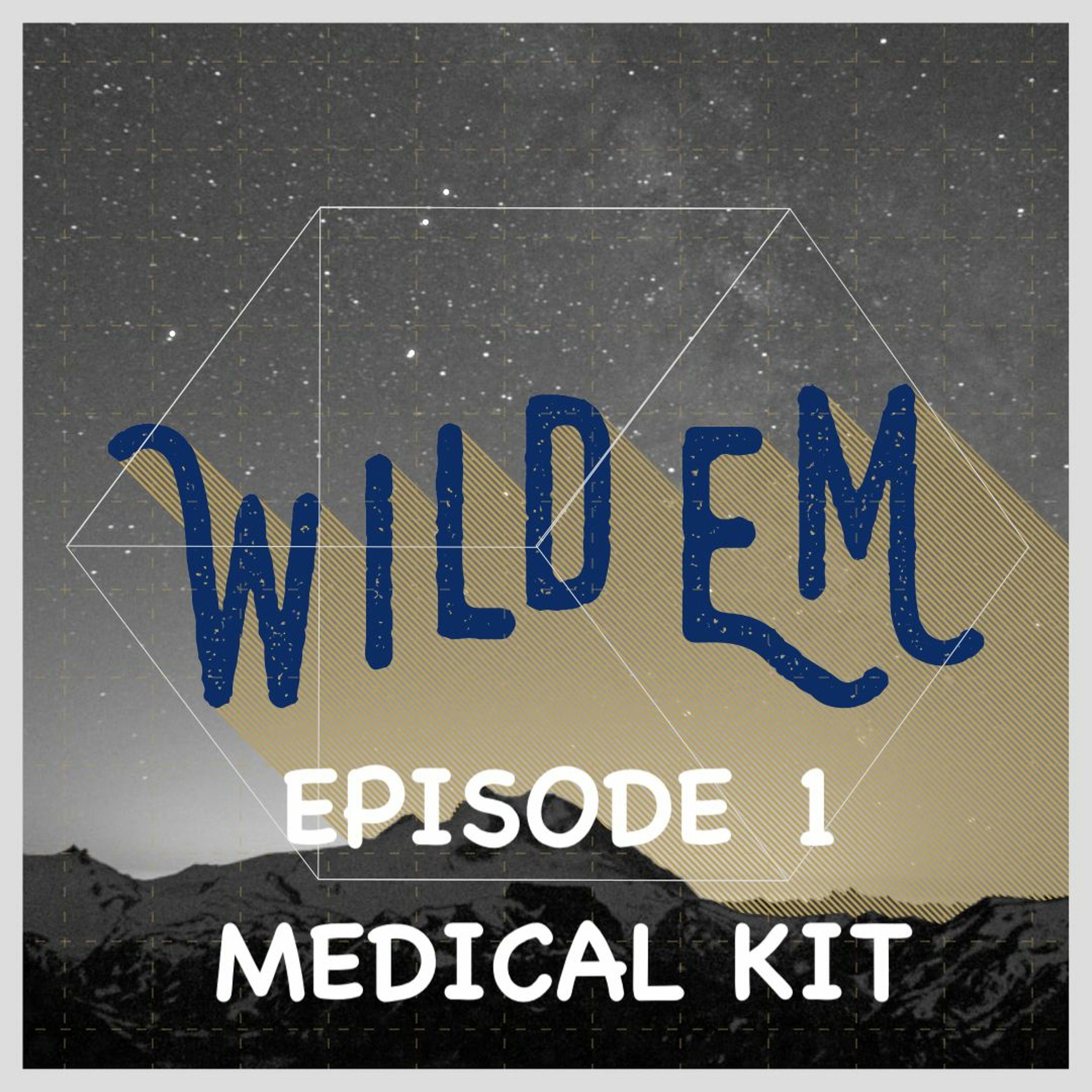 Artwork for WildEM the Wilderness Medicine Podcast
