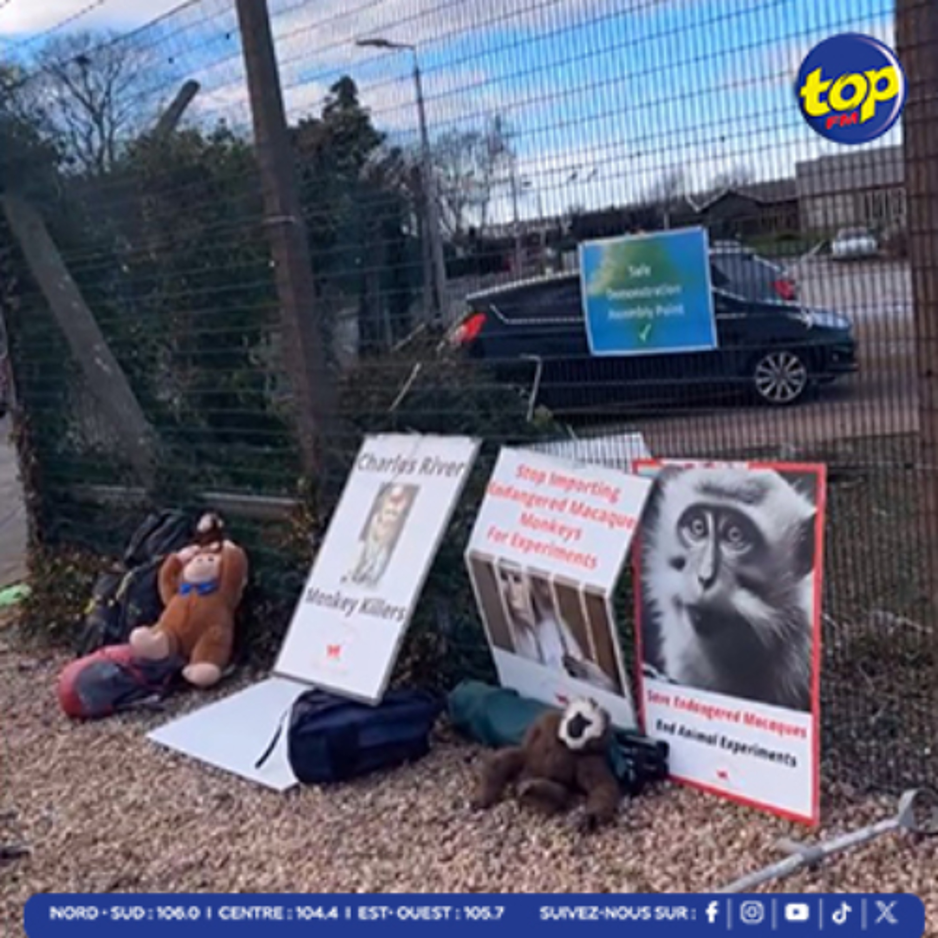 Manif pour les droits des animaux en Écosse