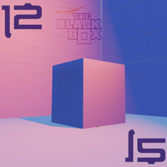 THE BLACK BOX 12 - 12