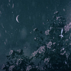 i cant do this anymore