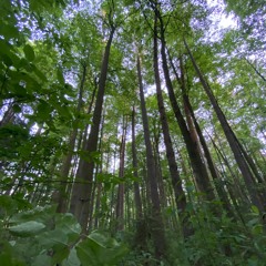 Verkneye Kos’movo, Kaluga Oblast, Russia