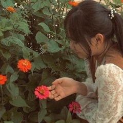 Mơ - Diệu Ái ( Vương Cây mix )