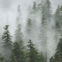 bass flows 3 (of the trees , supertask , eazybaked, somatoast)