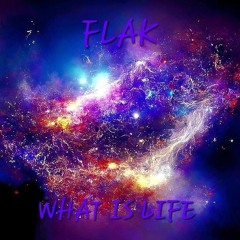 FLAK - WHAT IS LIFE