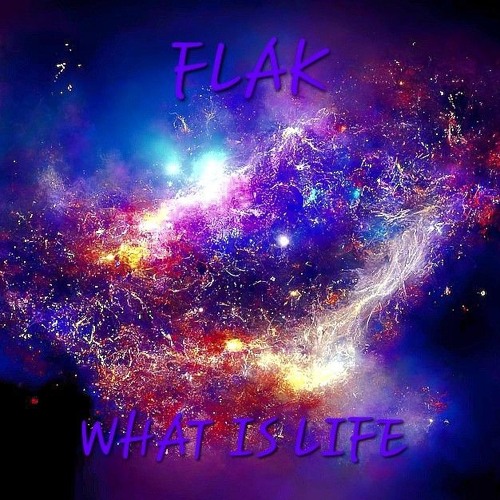 FLAK - WHAT IS LIFE