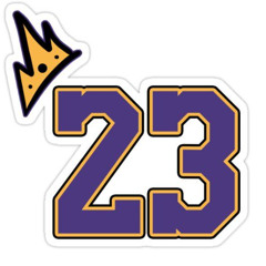 23 Birthday Freestyle