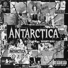 Antarctica Remix
