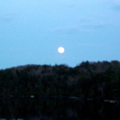 BLUE MOON RISING 3 TIME 17