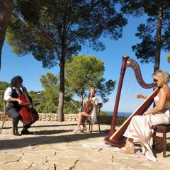 "Canon in D" Island Vibes Harp & Strings Trio