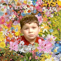 have u ever had a dream