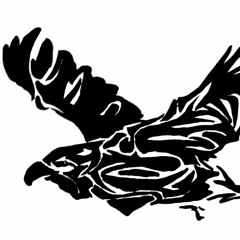 Night Hawk