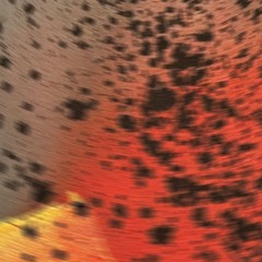 Sciahri - Pareidolia III