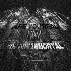 KOWI - IMMORTAL