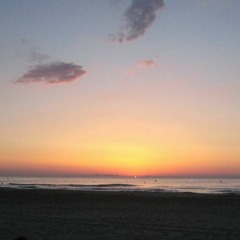 Hasta Pronto