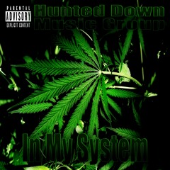 In My System [Arcapella, Cav'lier, Tyler Lyons, and Ran D. Streets featuring ArJae Knox]