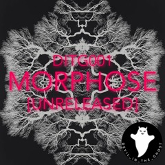 DITG001 - Preview [Unreleased / Unsold]