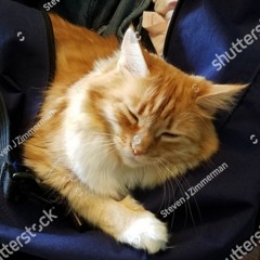 dufflebag ft luvseat (prod scruff) (botted lul)