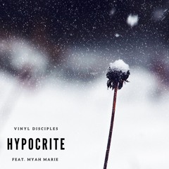 Hypocrite - Vinyl Disciples