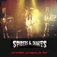 Rock 'n Roll Queen/The Girl Can't Help It ((Live))