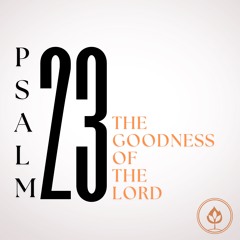 The Goodness of The Lord // Psalm 23 (Pastor Tito Lyro)