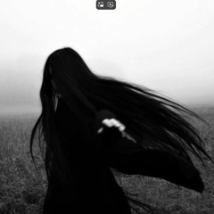 Lieless - Till The End