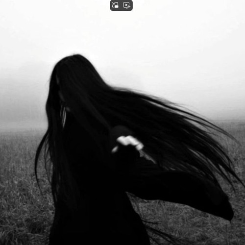 Lieless - Till The End