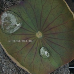 Strange Weather - Feb 2025