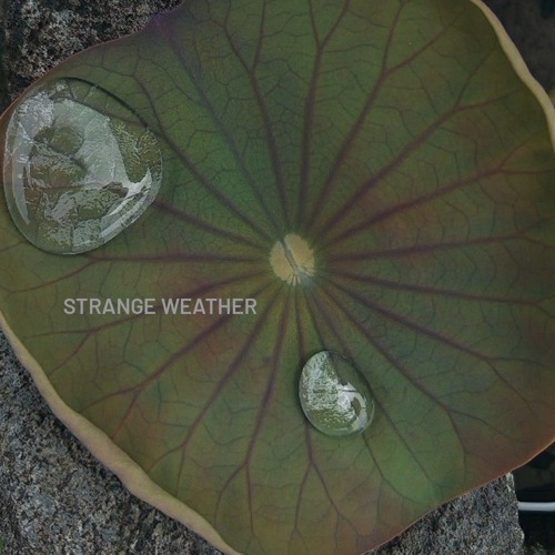 Strange Weather - Feb 2025