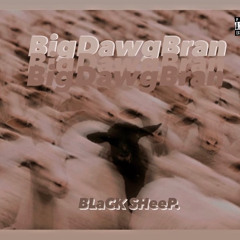 OnGo (Feat. Dan Dada)