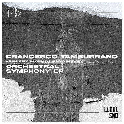 Francesco Tamburrano - Orchestral (BLOMAQ remix) (Preview)