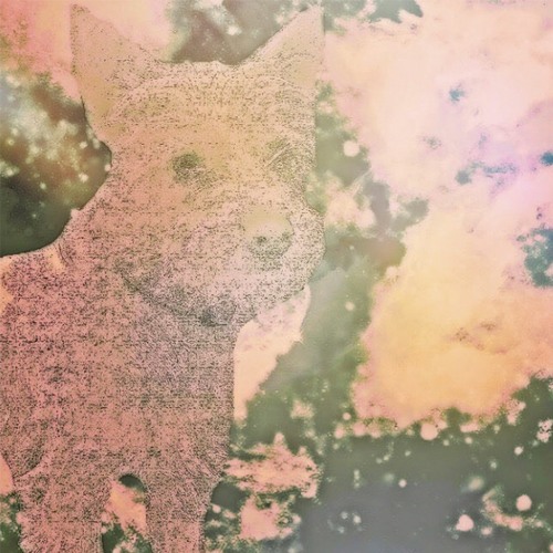 salv the dog - don't go out