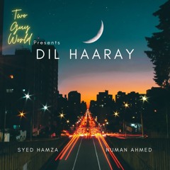 Dil Haaray - Syed Hamza & Numan Ahmed | Official Audio | Two Guy World