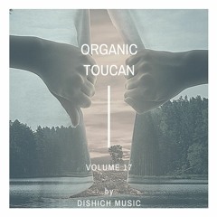 Organic Toucan Vol 17 - Somewhere Beyond Our Reality