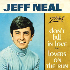 Don't Fall In Love