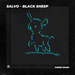 Salvo - Black Sheep