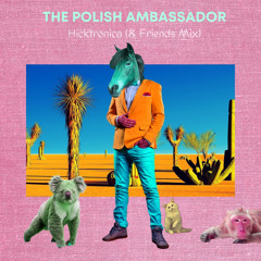 The Polish Ambassador, Jesse Klein, Robin Jackson, Ananda Vaughan - Hicktronica (& Friends Mix)